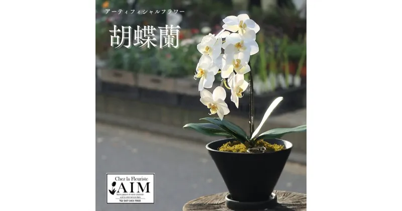 【ふるさと納税】アーティフィシャルフラワー胡蝶蘭鉢　花　造花