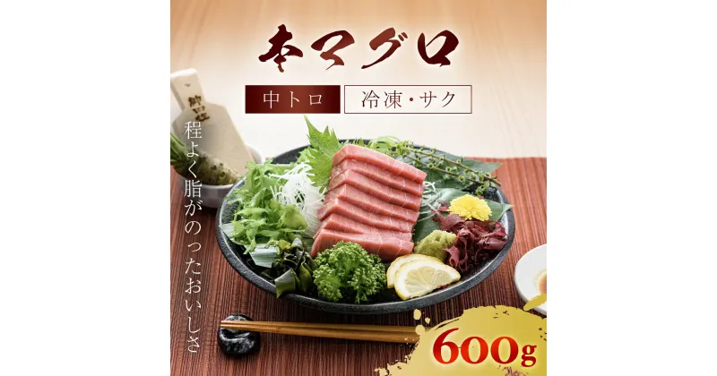 【ふるさと納税】本マグロ 中トロ 600g ふるさと納税 マグロ トロ 中トロ 魚 刺身 冷凍 天然 千葉県 茂原市 MBT002