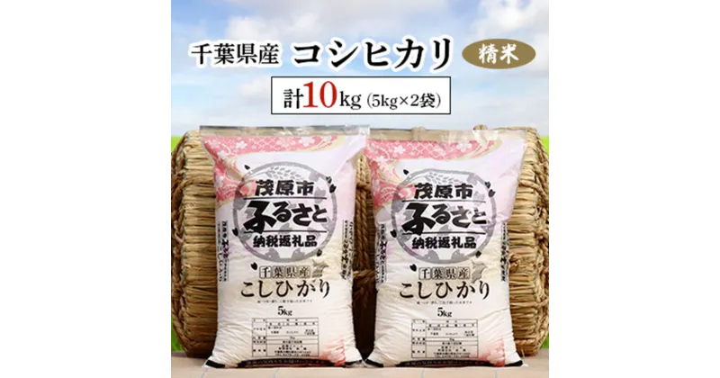 【ふるさと納税】令和6年産 千葉県産コシヒカリ 精米 10kg(5kg×2袋) ふるさと納税 コシヒカリ 米 精米 こめ 千葉県 茂原市 MBAD001