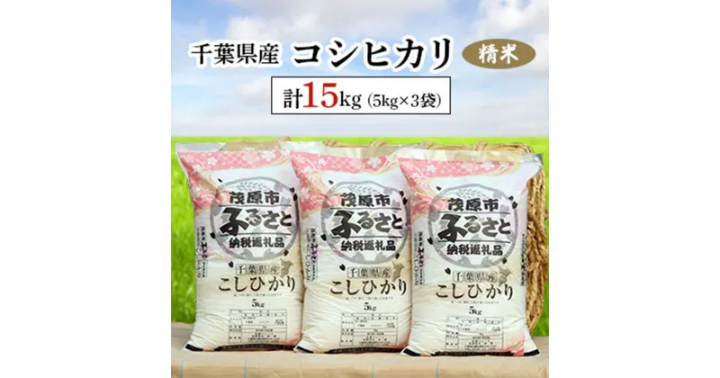 【ふるさと納税】令和6年産 千葉県産コシヒカリ 精米 15kg(5kg×3袋) ふるさと納税 コシヒカリ 米 精米 こめ 千葉県 茂原市 MBAD002