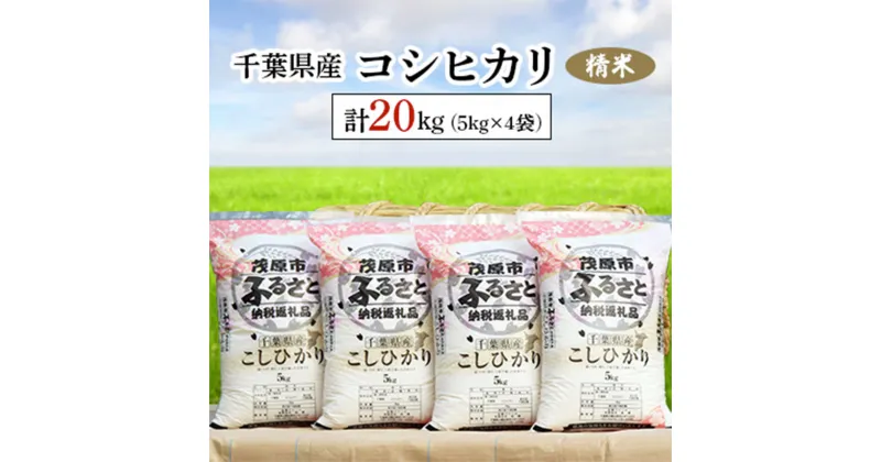 【ふるさと納税】令和6年産 千葉県産コシヒカリ 精米 20kg(5kg×4袋) ふるさと納税 コシヒカリ 米 精米 こめ 千葉県 茂原市 MBAD003