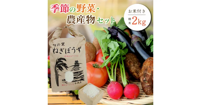 【ふるさと納税】季節の野菜・農産物セット　お米付き(精米・2kg)　ふるさと納税 野菜 野菜詰合せ 季節 お米 米 千葉県 茂原市 MBAE001