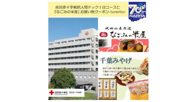 【ふるさと納税】成田赤十字病院人間ドック1日コースと『なごみの米屋』お買物クーポン（5,000円分）　 体験 チケット 基本コース 血圧 眼底 聴力 心電図 胸部X線 胃部X線 超音波 尿検査 便潜血 多忙 充実 午前中 本人 家族