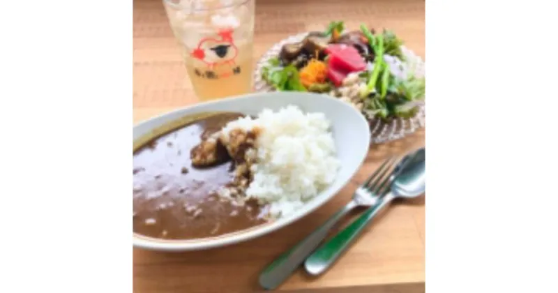 【ふるさと納税】ジビエカレー2人分　 惣菜 洋食 レトルトカレー 鹿肉 猪肉 湯煎調理 温めるだけ ランチ お昼ご飯 夕飯 ジビエ料理