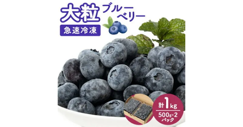 【ふるさと納税】【大粒】冷凍ブルーベリー1kg(500g×2パック)【配送不可地域：離島】【1292650】