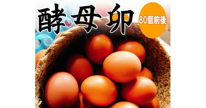 【ふるさと納税】No.088 酵母卵 ／ たまご タマゴ 送料無料 千葉県