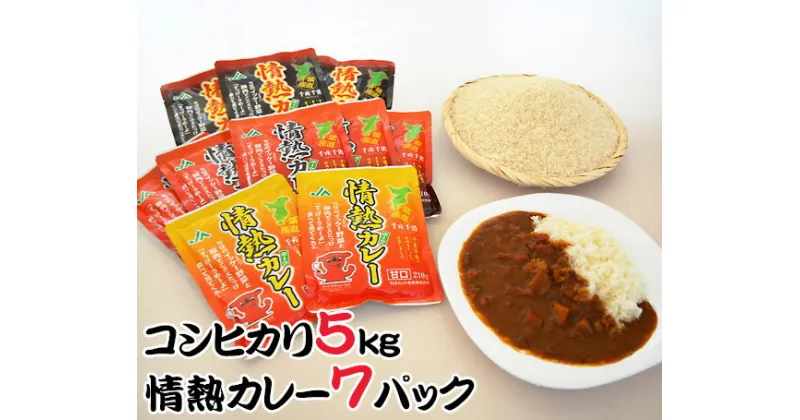 【ふるさと納税】No.019 精米コシヒカリ5kgと情熱カレーセット ／ お米 白米 精米 こしひかり レトルトカレー 送料無料 千葉県