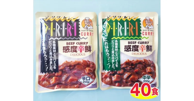 【ふるさと納税】No.038 ピリリビーフカレー中辛・辛口セット（40食） ／ カレーライス レトルト 送料無料 千葉県