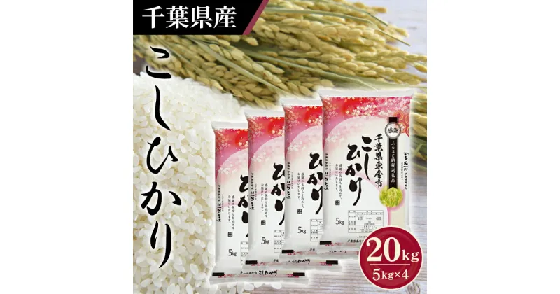 【ふるさと納税】No.162 令和6年産 千葉県産コシヒカリ5kg×4袋 ／ お米 白米 精米 こしひかり 20kg 送料無料 千葉県