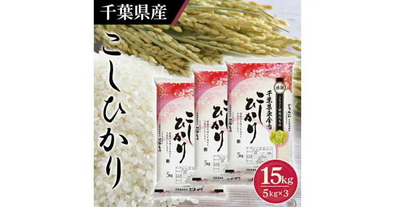 【ふるさと納税】No.161 令和6年産 千葉県産コシヒカリ5kg×3袋 ／ お米 白米 精米 こしひかり 15kg 送料無料 千葉県