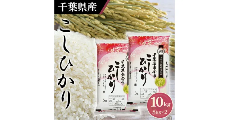 【ふるさと納税】No.160 令和6年産 千葉県産コシヒカリ5kg×2袋 ／ お米 白米 精米 こしひかり 10kg 送料無料 千葉県