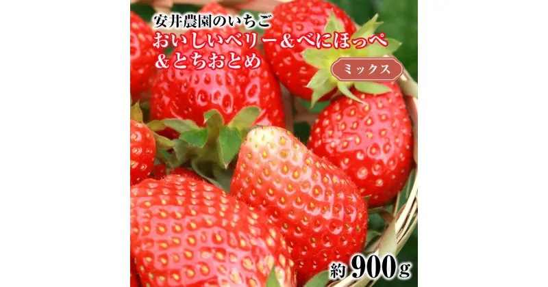 【ふるさと納税】No.186 おいしいベリー＆べにほっぺ＆とちおとめ　ミックス　約900g ／ 苺 イチゴ 果物 フルーツ ビタミンC 送料無料 千葉県