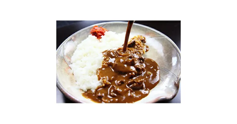 【ふるさと納税】せんば牛カレー　200g×5食セット【1128773】