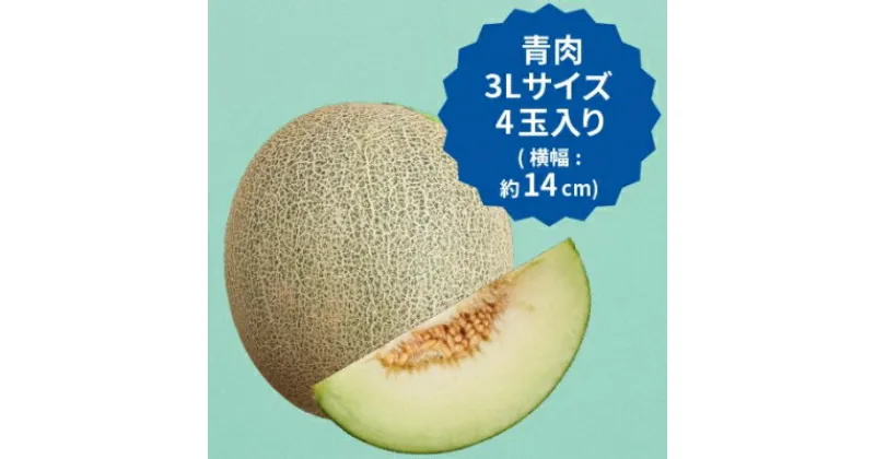 【ふるさと納税】【2025年先行予約】飯岡メロン　3Lサイズ(約1.35kg)×4玉セット(計約5.4kg)【1136456】