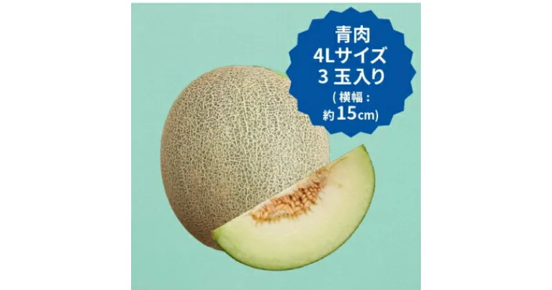 【ふるさと納税】【2025年先行予約】飯岡メロン　4Lサイズ(約1.6kg)×3玉セット(計約4.8kg)【1136457】