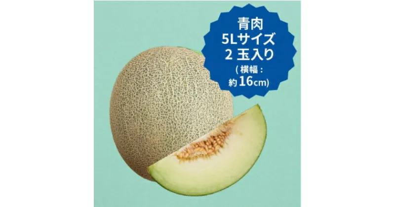 【ふるさと納税】【2025年分先行予約】飯岡メロン　5Lサイズ(約1.7kg)×2玉セット(計約3.4kg)【1136458】