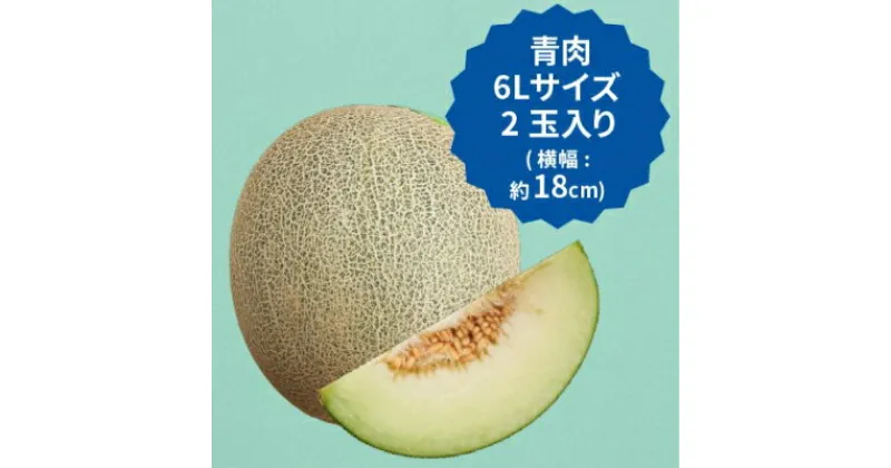 【ふるさと納税】【2025年先行予約】飯岡メロン　6Lサイズ(約2.2kg)×2玉セット(計約4.4kg)【1136459】