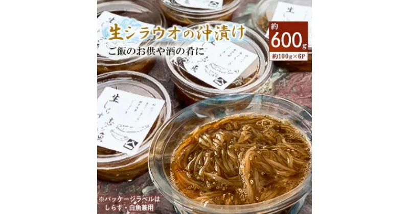 【ふるさと納税】生シラウオの沖漬け600g(100g×6P)【配送不可地域：離島】【1214804】