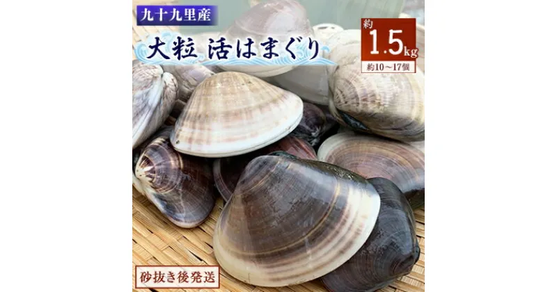 【ふるさと納税】某TV番組で全国一位に！九十九里産　大粒活はまぐり　約1.5kg【配送不可地域：離島】【1215229】