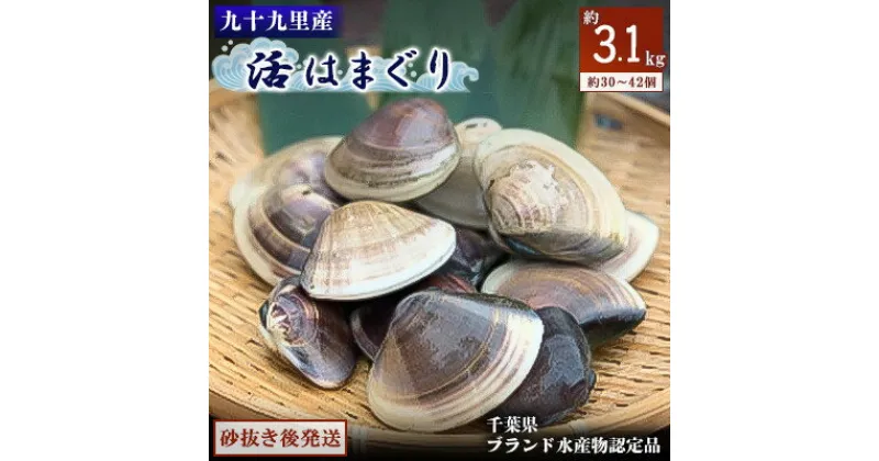 【ふるさと納税】九十九里産　活はまぐり　約3.1kg【配送不可地域：離島】【1220340】