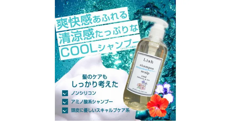 【ふるさと納税】Lishクールシャンプー　ハイビスカス&アイリスの香り　300ml×1本【1285000】