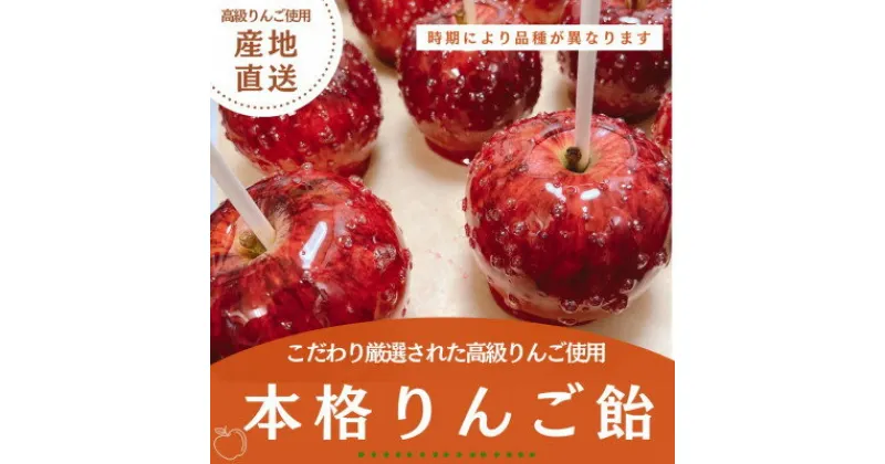 【ふるさと納税】こだわり厳選された高級りんごを使用した本格りんご飴　5個【配送不可地域：離島・沖縄県】【1468646】