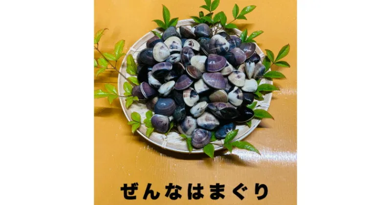 【ふるさと納税】千葉県産 真空冷凍はまぐり(ぜんなはまぐり) 約1.5kg(約500g×3P)【配送不可地域：離島】【1522002】