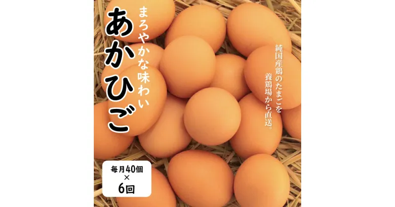 【ふるさと納税】【定期便】たまご おすすめ むこたま 【あかひご】 Mサイズ 40個 定期便 6ヶ月 卵 養鶏場 直送 セット 朝食 夕食 昼食 ランチ TKG オムレツ お菓子作り