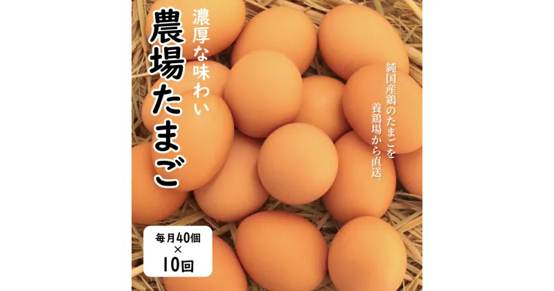 【ふるさと納税】【定期便】たまご おすすめ むこたま 【農場たまご】 Mサイズ 40個 定期便 10ヶ月 卵 養鶏場 直送 セット 朝食 夕食 昼食 ランチ TKG オムレツ お菓子作り