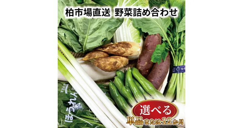 【ふるさと納税】【選べるセット】 おすすめ 柏市場直送 野菜 詰め合わせ セット 単品 12か月 定期便 おいしい 旬 季節 10から15種類