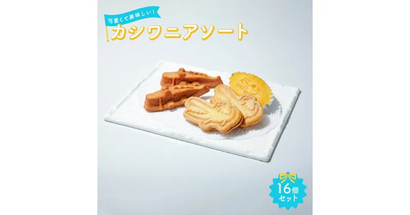 【ふるさと納税】スイーツ おすすめ 人気 カシワニアソート フィナンシェ マドレーヌ クッキー 菓子 焼菓子 洋菓子 おやつ おいしい プレゼント 詰め合わせ セット 贈り物 お土産 手作り ギフト 母の日 父の日 カシワニ