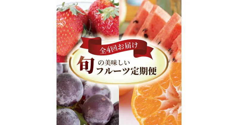 【ふるさと納税】【定期便】柏市産 旬の美味しいフルーツ 全4回 おすすめ 柏産 おいしい 旬 季節 時期 フルーツ デザート 果物 3か月毎 3か月ごと