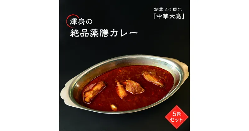 【ふるさと納税】おすすめ 創業40年 中華大島 渾身の絶品 薬膳カレー 5袋 セット カレー 名店 冷凍 レトルト 詰め合わせ グルメ 食品