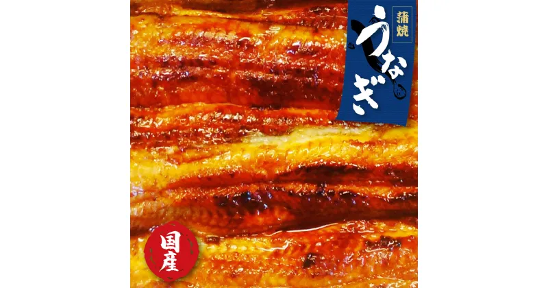 【ふるさと納税】おすすめ 国産 うなぎ 蒲焼 おいしい タレ 山椒付き 鰻 ウナギ 蒲焼き 土用 丑の日 ギフト 誕生日 母の日 父の日 小分け 人気 選べるセット 2尾分 3尾分