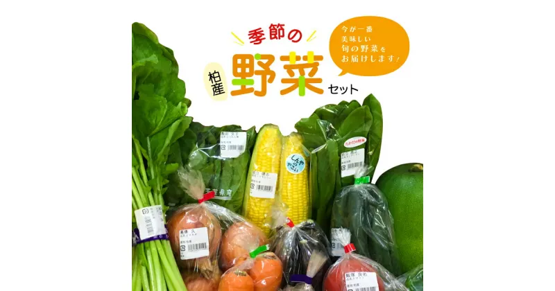 【ふるさと納税】おすすめ 柏産 季節の野菜 詰め合わせBOX おいしい 旬 季節 おまかせ セット