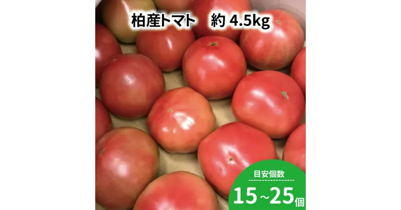 【ふるさと納税】 おすすめ 柏市産 トマト 4.5kg 中玉から大玉 おいしい サラダ イタリアン たっぷり 柏市場