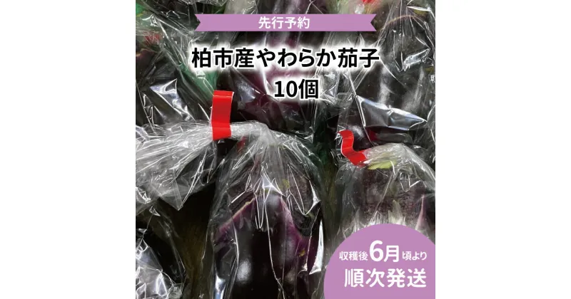 【ふるさと納税】 【先行予約】 【2025年6月発送】 おすすめ 柏市産 やわらか茄子 10個 野菜 なす ナス おいしい 旬 季節 時期 たっぷり 大量 夏野菜 煮物 揚げ物 浅漬け