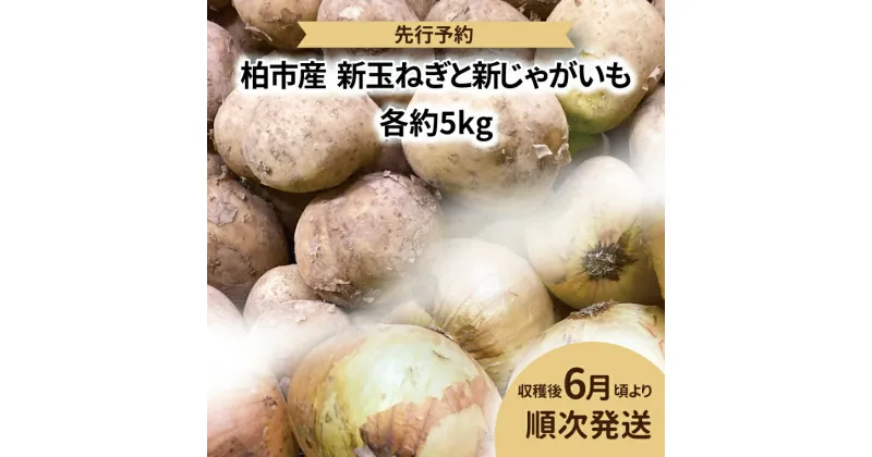 【ふるさと納税】 【先行予約】 【2025年6月発送】 おすすめ 柏市産 新玉ねぎと新じゃがいも 詰め合わせ 合計10kg 各5kg 野菜 新玉 新じゃが ポテト サラダ カレー おいしい 旬 季節 時期 たっぷり 大量 夏野菜