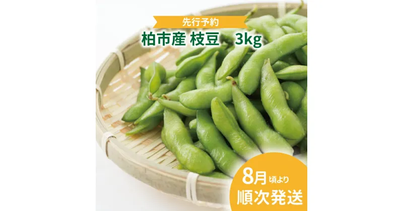 【ふるさと納税】 【先行予約】 【2025年8月発送】 おすすめ 柏産枝豆 3kg セット 野菜 おつまみ おいしい 旬 季節 時期 たっぷり 大量 夏野菜 ビールのおとも 塩ゆで