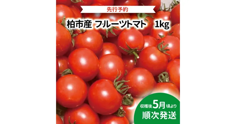 【ふるさと納税】 【先行予約】 【2025年5月発送】 おすすめ フルーツトマト 1kg セット 野菜 おいしい 旬 季節 時期 たっぷり 大量 夏野菜 イタリアン サラダ デザート