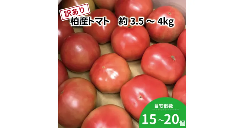 【ふるさと納税】おすすめ 訳あり 柏市産 トマト 3.5kg～4kg 15～20個程度 おいしい サラダ イタリアン トマトジュース たっぷり 柏市場