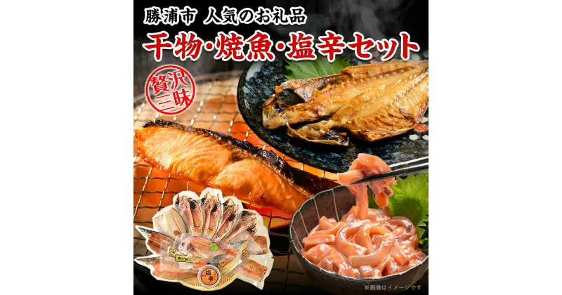 【ふるさと納税】干物・焼魚・塩辛セット【配送不可地域：離島】【1005341】