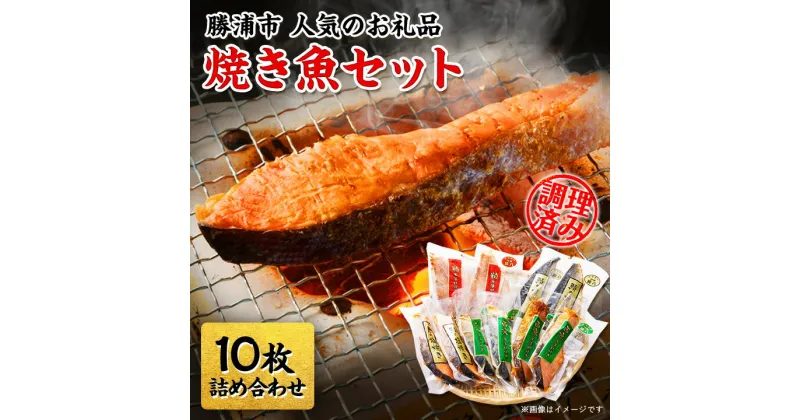 【ふるさと納税】焼き魚セット【配送不可地域：離島】【1008364】