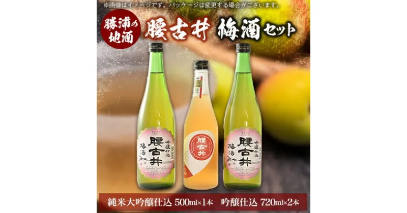 【ふるさと納税】腰古井 梅酒 500ml×1本と720ml×2本セット【1061262】