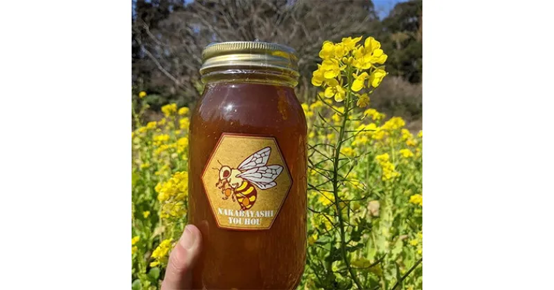 【ふるさと納税】勝浦産　非加熱の生ハチミツ 1kg【夏の百花蜜】【1135470】