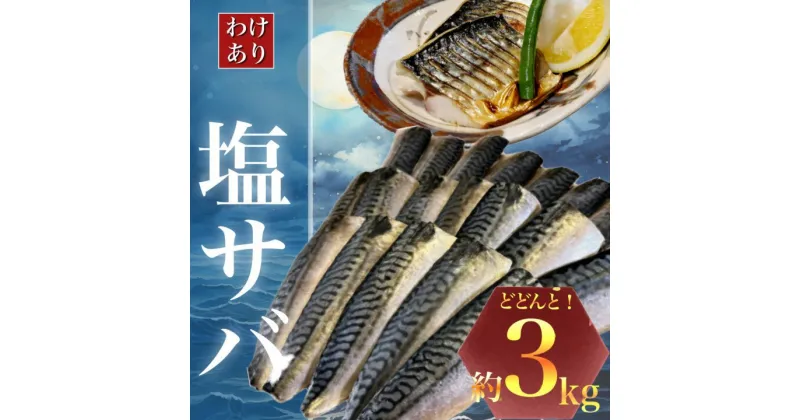 【ふるさと納税】【訳あり】勝浦市の人気の海鮮お礼品 無添加 塩サバ 3kg【配送不可地域：離島】【1240161】