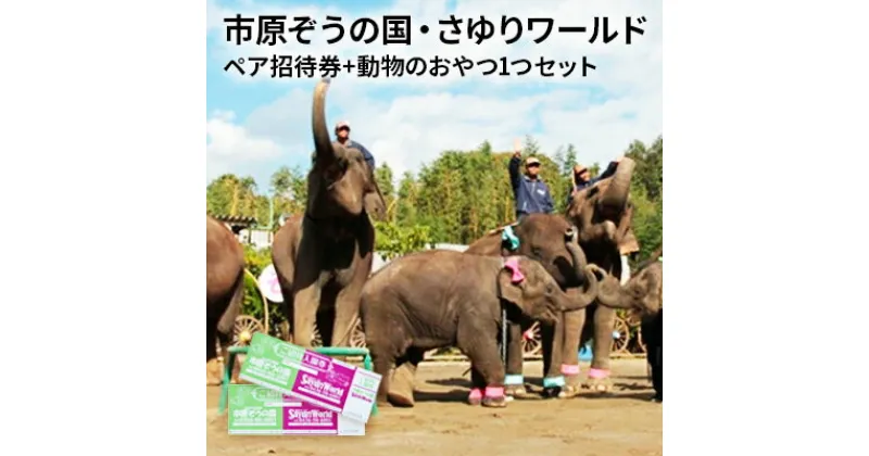 【ふるさと納税】市原ぞうの国 ペア 招待券 + 動物のおやつ 1つセット 動物園　 チケット 入場券 優待券 レジャー 体験 施設利用券