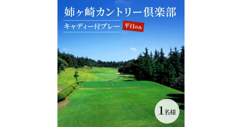 【ふるさと納税】ゴルフ場 千葉 姉ヶ崎カントリー倶楽部 キャディー付プレー 平日のみ 1名様 ゴルフ 関東 チケット ゴルフ場利用券 プレー券 施設利用券　 市原市