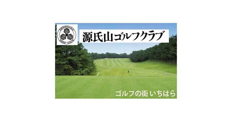 【ふるさと納税】ゴルフ場 千葉 源氏山ゴルフクラブ 土日祝 1R 1名様 セルフプレー券 2枚 ゴルフ 関東 チケット ゴルフ場利用券 プレー券 施設利用券　 市原市