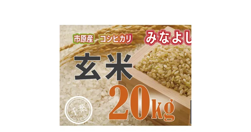 【ふるさと納税】みなよし米【市原産コシヒカリ・玄米】20Kg　玄米・お米・コシヒカリ　お届け：毎年10月1日～